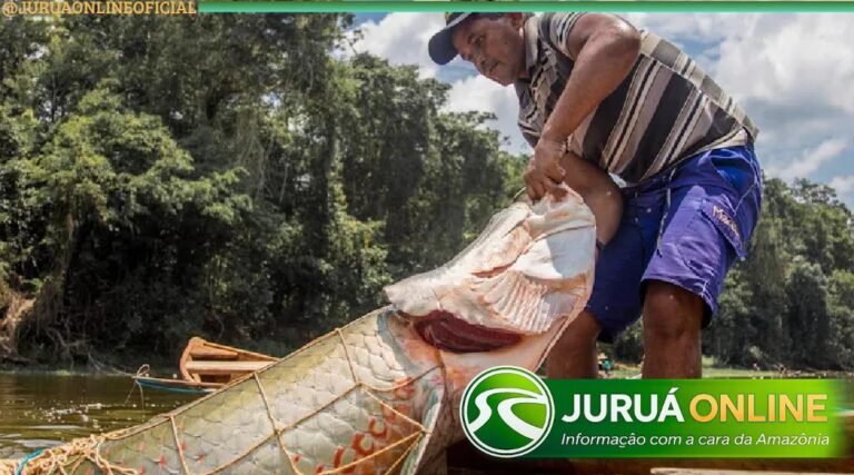 Ministério cancela 394 licenças de pescadores no Acre; Estado é o 3º em número de registros anulados