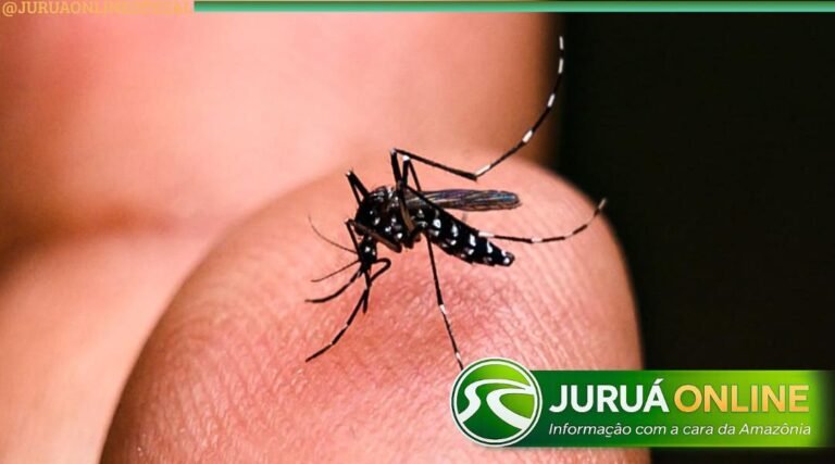 Casos de dengue caem mais de 60% no Acre em 2026, mas vigilância mantém alerta à população
