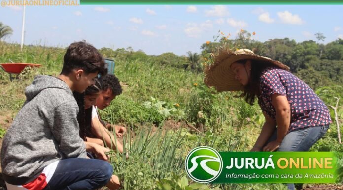 @JURUAONLINEOFICIAL (11) - 2026-02-20T093741.130