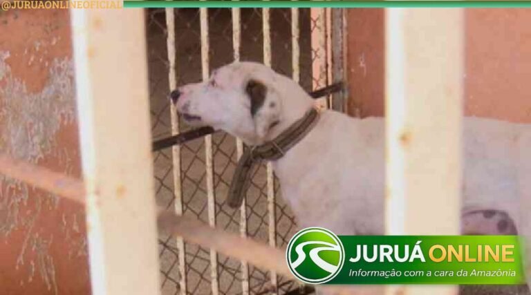 Reforma do Centro de Zoonoses prevê ampliação dos serviços e criação de espaço de bem-estar animal em Cruzeiro do Sul