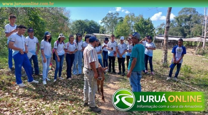 @JURUAONLINEOFICIAL (8) (54)