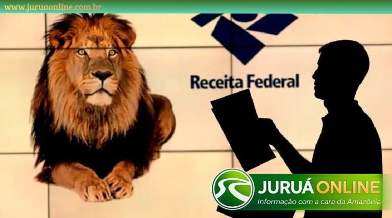 IRPF 2026: empregador deve entregar informe de rendimento até sexta