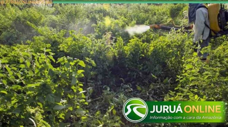 Acre tem 740 registros de agrotóxicos com permissão de uso com vencimento próximo