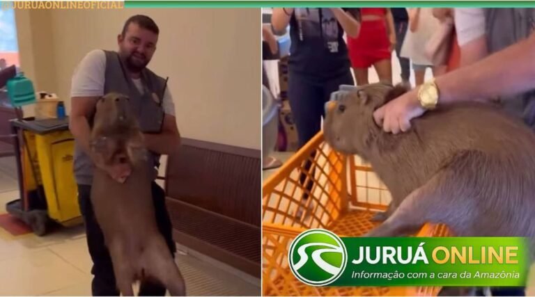 Capivara invade supermercado em Rio Branco e chama atenção de clientes