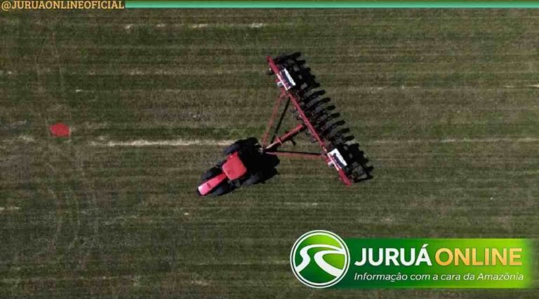 Cotações do agronegócio são atualizadas e mercado mantém estabilidade em Cruzeiro do Sul