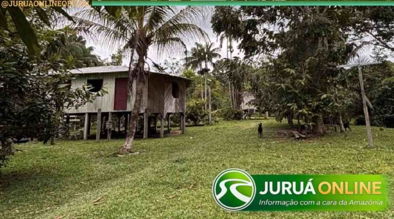 Indígenas denunciam abandono, falta de energia e prejuízos à segurança alimentar no território continental