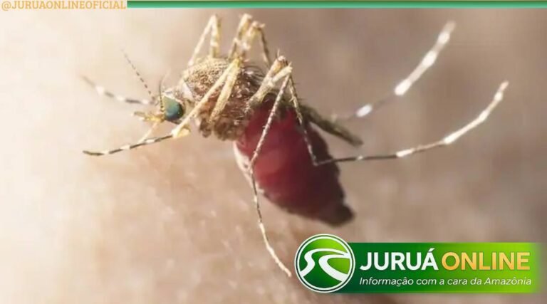 Casos de malária caem quase 40% no Acre em um ano, aponta boletim epidemiológico