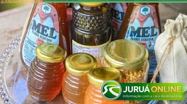 Produção de mel cresce no Acre e fortalece apicultura na região do Juruá