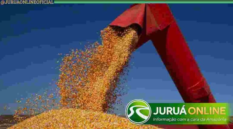 Milho inicia semana em ajuste após altas recentes nas bolsas internacionais