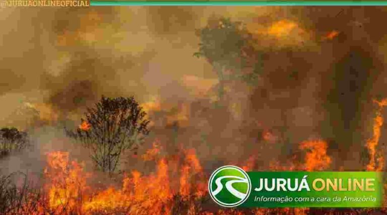 Acre tem desempenho recorde e registra menos queimadas no início de 2026, aponta Inpe