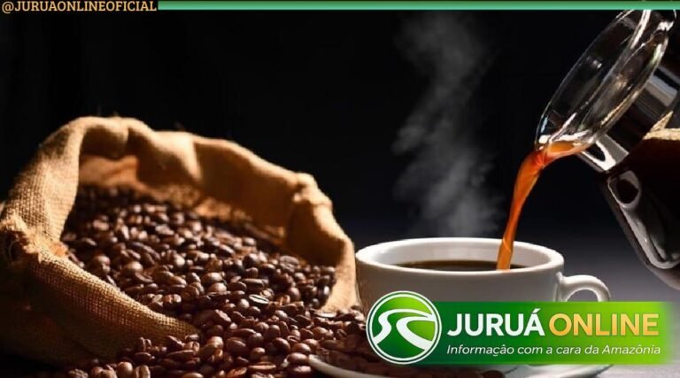 Governo do Acre credencia viveiros para distribuição de mais de 1 milhão de mudas de café a produtores