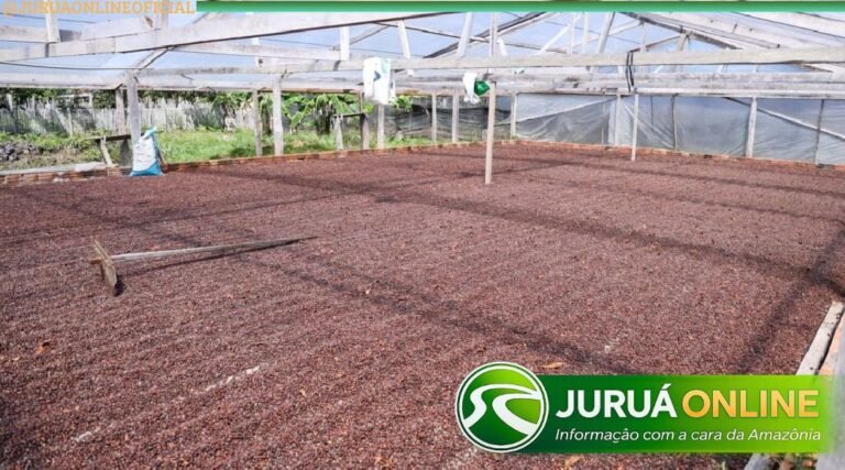 Produção agrícola do Acre cresce mais de 9% e supera 204 mil toneladas em 2026, aponta IBGE