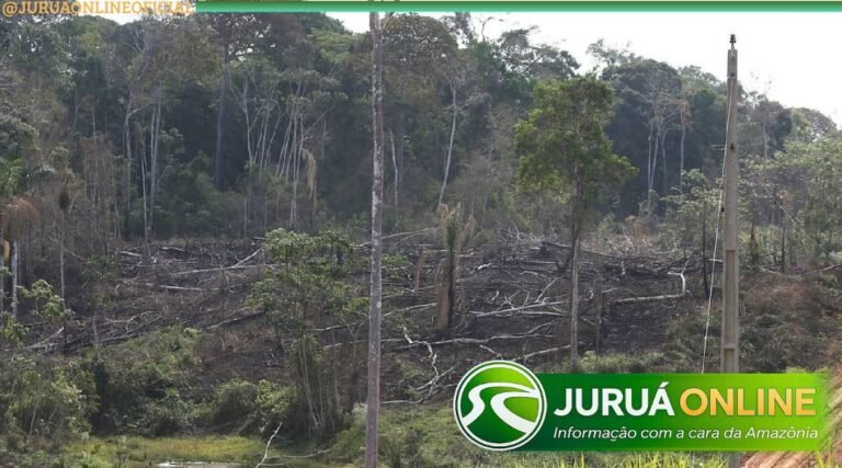 Enquanto Amazônia reduz desmatamento, Acre registra aumento de áreas degradadas e acende alerta ambiental