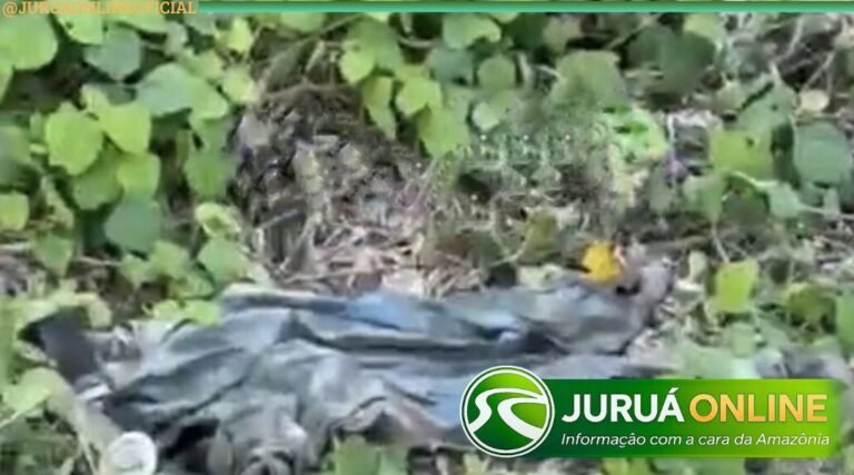 Ossada humana encontrada em área de mata pode ser de idoso desaparecido em Rio Branco