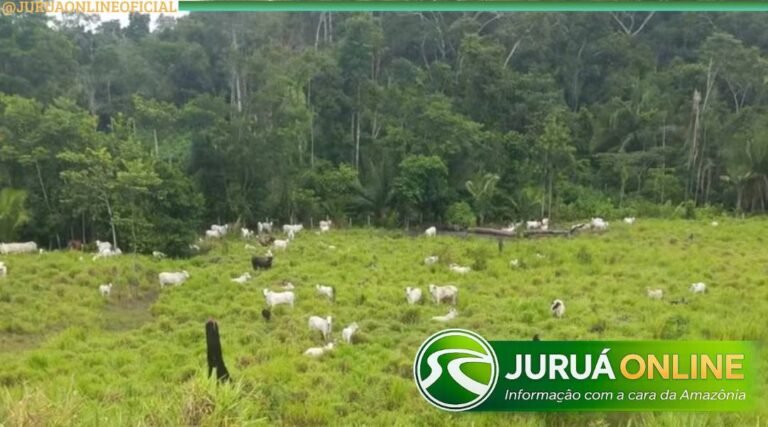 Após denúncia de invasão em Terra Indígena, proprietário contesta acusações e nega irregularidades