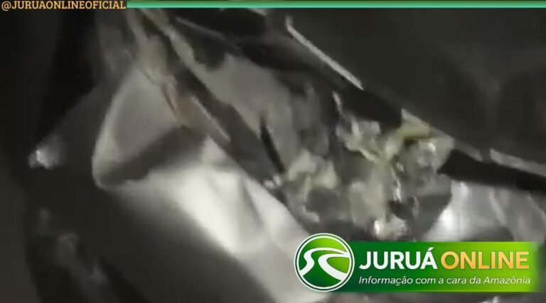 Colisão entre carro e búfalo destrói frente de veículo na AC-405, em Cruzeiro do Sul