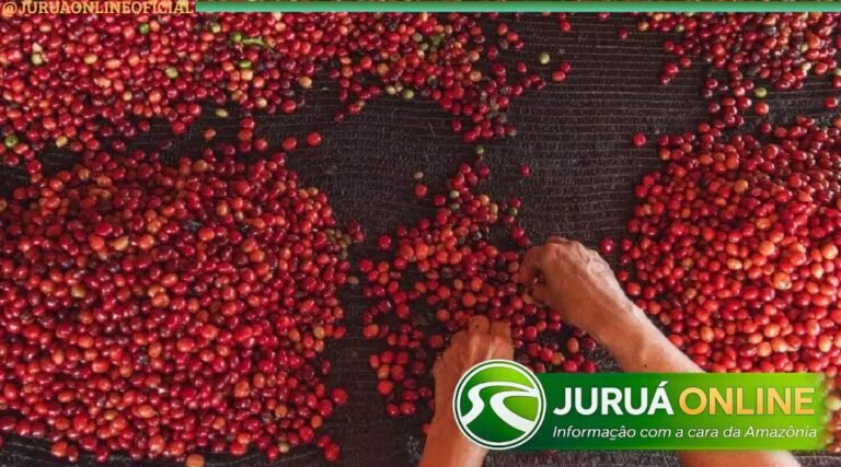 Governo do Acre reduz imposto sobre café conilon vendido para outros estados