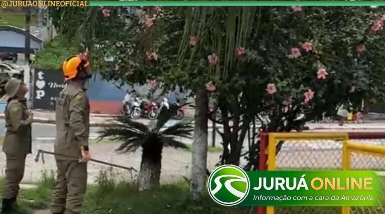 Cobra de cerca de 1 metro assusta pessoas na praça no centro de Cruzeiro do Sul