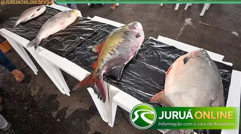 Feira do Peixe em Mâncio Lima terá concursos com prêmios de até R$ 2 mil