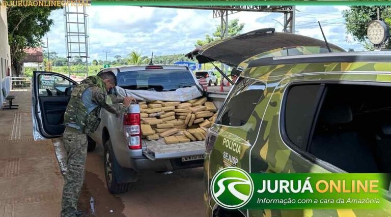 Operação conjunta apreende mais de 200 quilos de maconha e prende seis pessoas