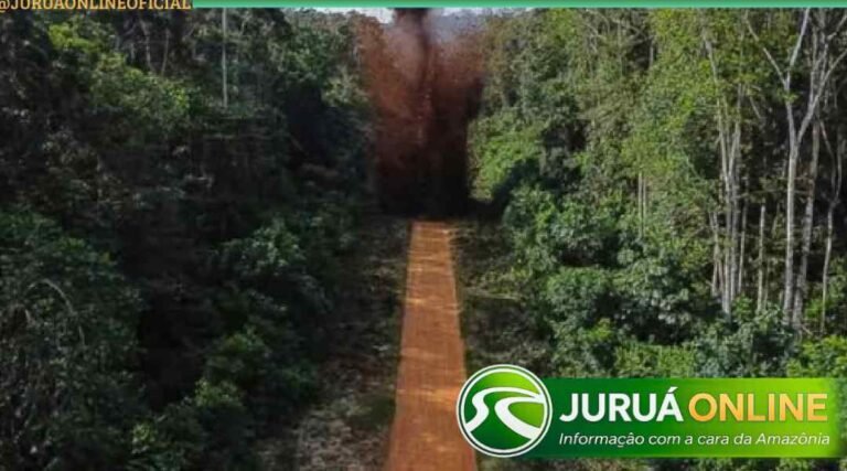MPF denuncia omissão na fiscalização de pistas clandestinas do garimpo na Amazônia Ocidental: foco em Roraima deixa Acre, Amazonas e Rondônia desprotegidos