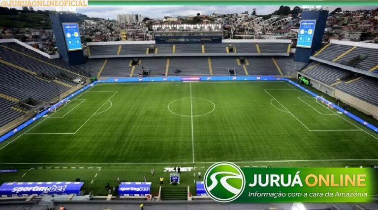 Palmeiras x Novorizontino: onde assistir ao vivo, horário e escalações