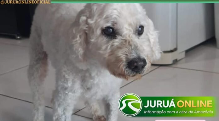 @JURUAONLINEOFICIAL (11) (1) - 2026-04-07T094533.409