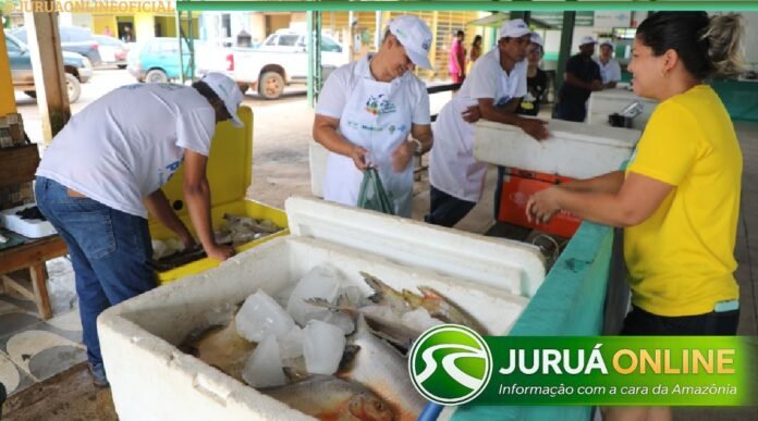 @JURUAONLINEOFICIAL (11) (1) (85)