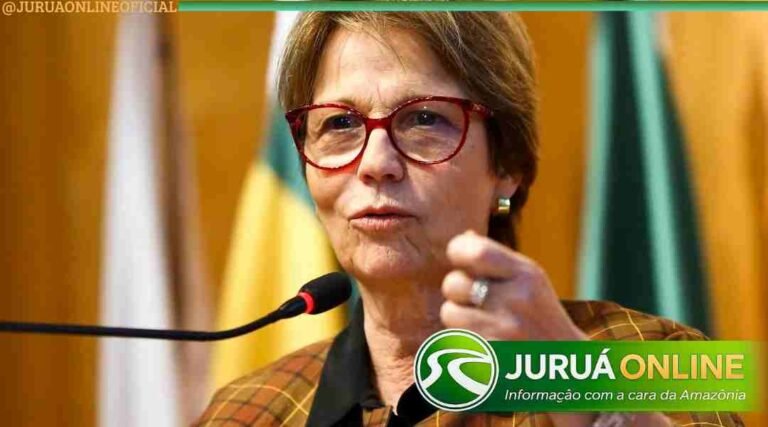 Câmara prioriza seguro rural em 2026