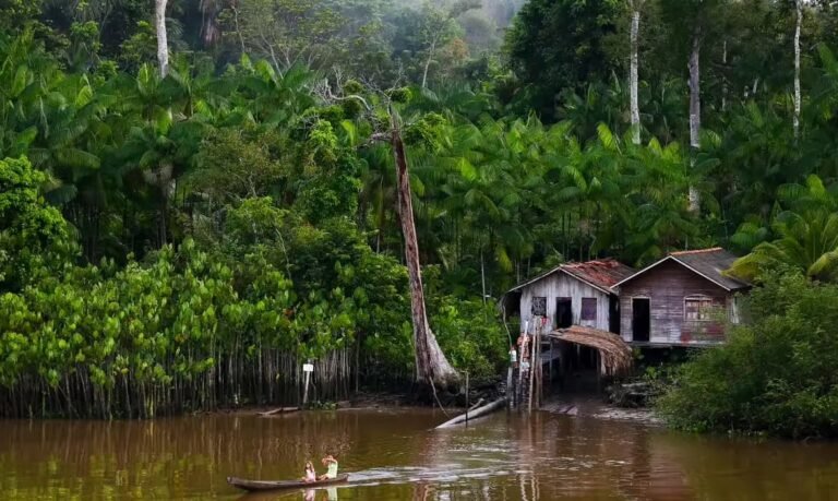 Projeto do Ministério da Saúde enfrenta doença negligenciada na Amazônia e tem foco no Acre