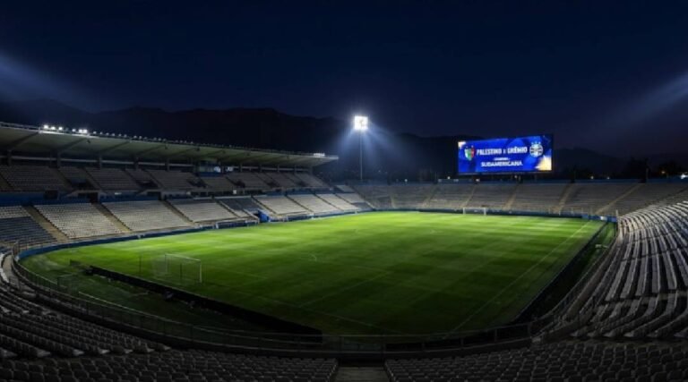 Onde assistir Palestino x Grêmio ao vivo às 21h30 (29)