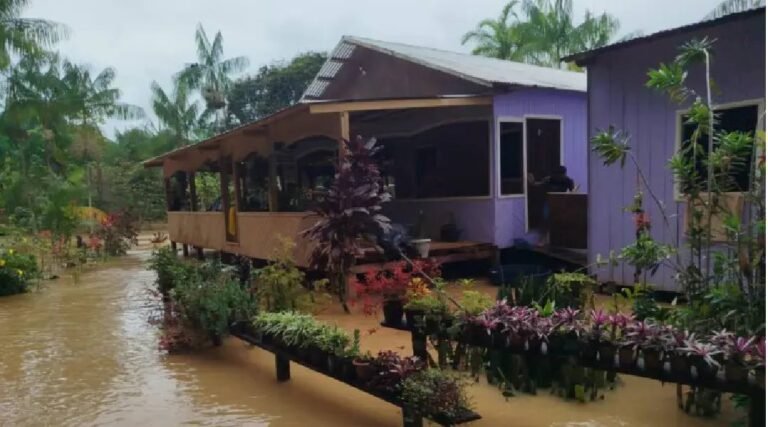Maior enchente da história atinge 18 aldeias na Terra Indígena Rio Gregório