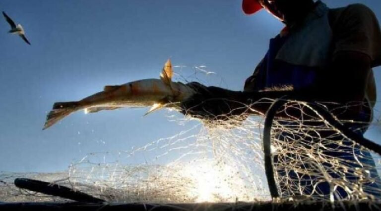 Pescadores do Acre podem solicitar cancelamento de registro profissional junto ao governo federal