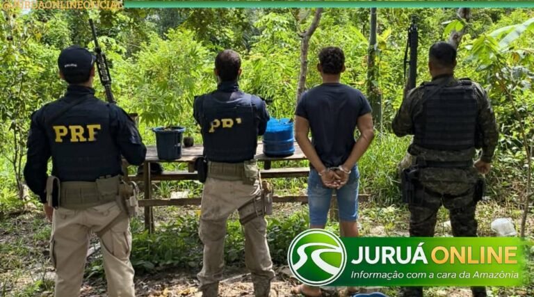 Homem monitorado por tornozeleira eletrônica é preso por cultivo de maconha em área de mata de Cruzeiro do Sul