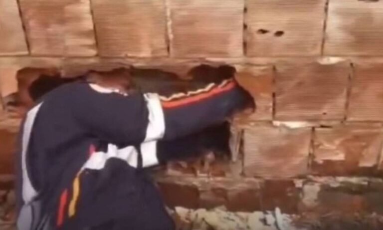 Morre bebê encontrado abandonado entre muros de casas na Paraíba