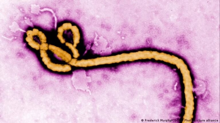 OMS alerta para mais de 900 casos suspeitos de Ebola na República Democrática do Congo
