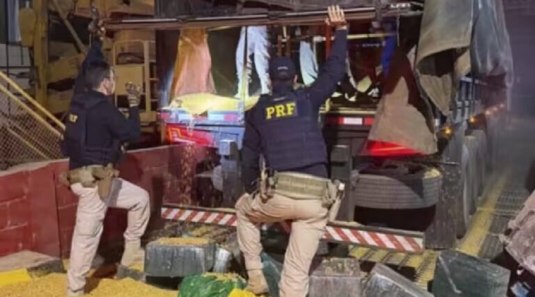 PRF realiza maior apreensão de cocaína do ano em carga de milho na BR-364