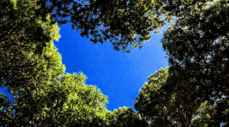 Cruzeiro do Sul terá programação ambiental com ações educativas, culturais e esportivas em junho
