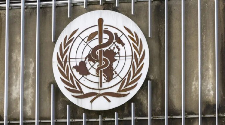OMS identifica tratamentos e vacinas para serem testados contra Ebola