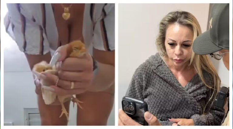 Suspeita de torturar e matar animais esmagando-os para vender vídeos na internet é solta horas após ser presa