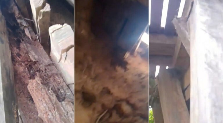 Moradores denunciam risco em ponte no Badejo do Meio, zona rural de Cruzeiro do Sul