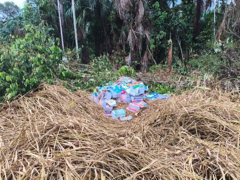 Livros didáticos são encontrados abandonados em área de mata no interior do Amazonas