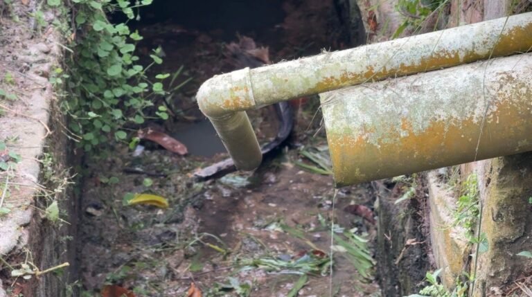 Moradores denunciam esgoto a céu aberto e cobram obras em rua de Cruzeiro do Sul