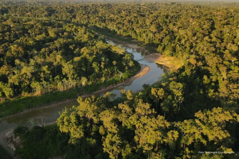 Imac moderniza fiscalização ambiental com nova plataforma digital no Acre