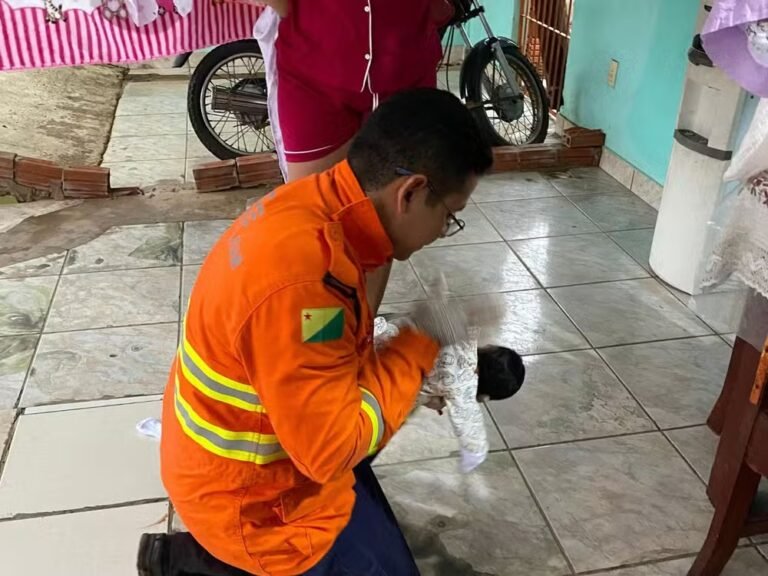 Bebê de apenas 14 dias é salva por bombeiros após engasgo durante amamentação em Rio Branco