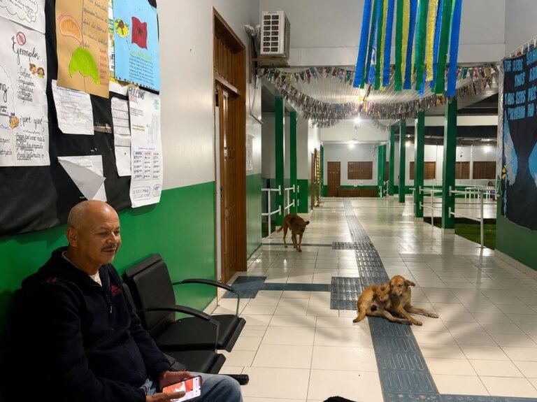 Diretor transforma escola em abrigo para cães e gatos e comove comunidade em Rodrigues Alves