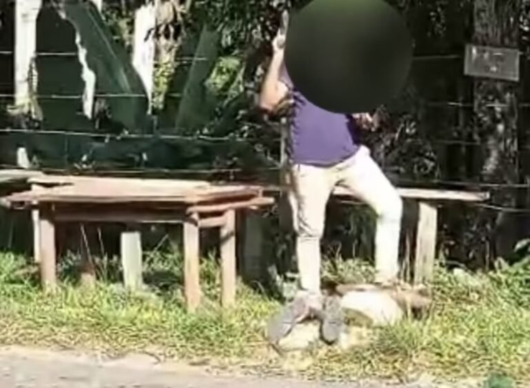 Suspeito de atacar e amarrar idosa é preso em Cruzeiro do Sul