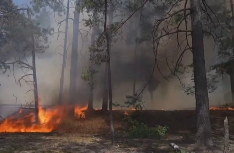 Incêndio florestal em Chernobyl atinge zona de contaminação radioativa