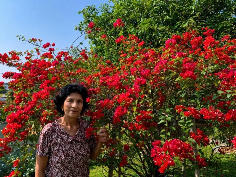 Morre aos 85 anos Maria Soares Pio, mãe do deputado estadual Edvaldo Magalhães