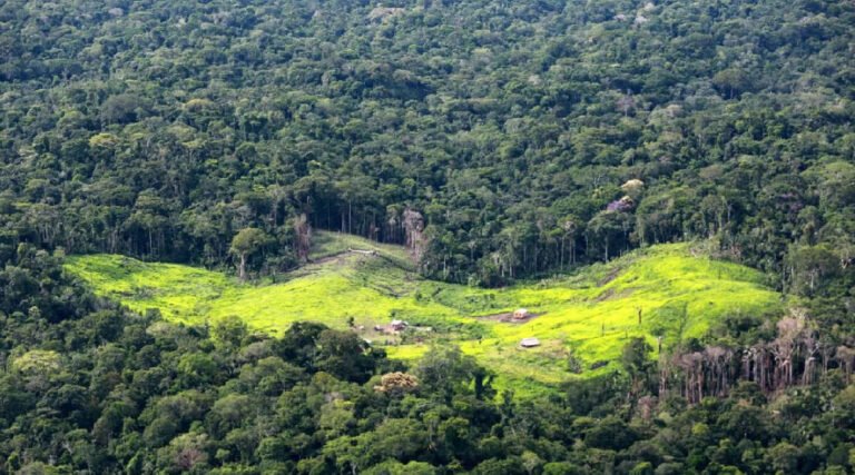 Acre tem quatro municípios incluídos em lista de combate ao desmatamento